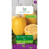 Nasiona i cebule - Dynia zwyczajna makaronowa Pyza nasiona warzyw W.Legutko - miniaturka - grafika 1