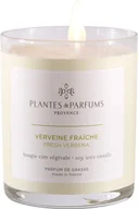 Świece - PLANTES&PARFUMS PROVENCE Świeca zapachowa perfumowana - Fresh Verbena - Świeża Werbena 070224 - miniaturka - grafika 1