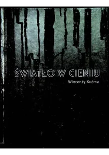 Światło w cieniu - Książki o kulturze i sztuce - miniaturka - grafika 1