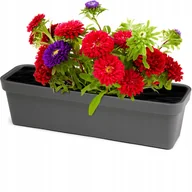 Donice - LAMELA Skrzynka balkonowa 60 x 17 cm antracytowa LOBELIA - miniaturka - grafika 1