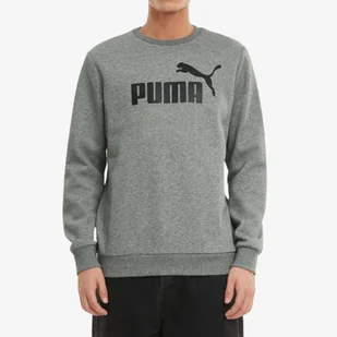 Bluza Puma Męska Dresowa Bawełniana Szara 586680-03 - Bluzy sportowe męskie - miniaturka - grafika 1