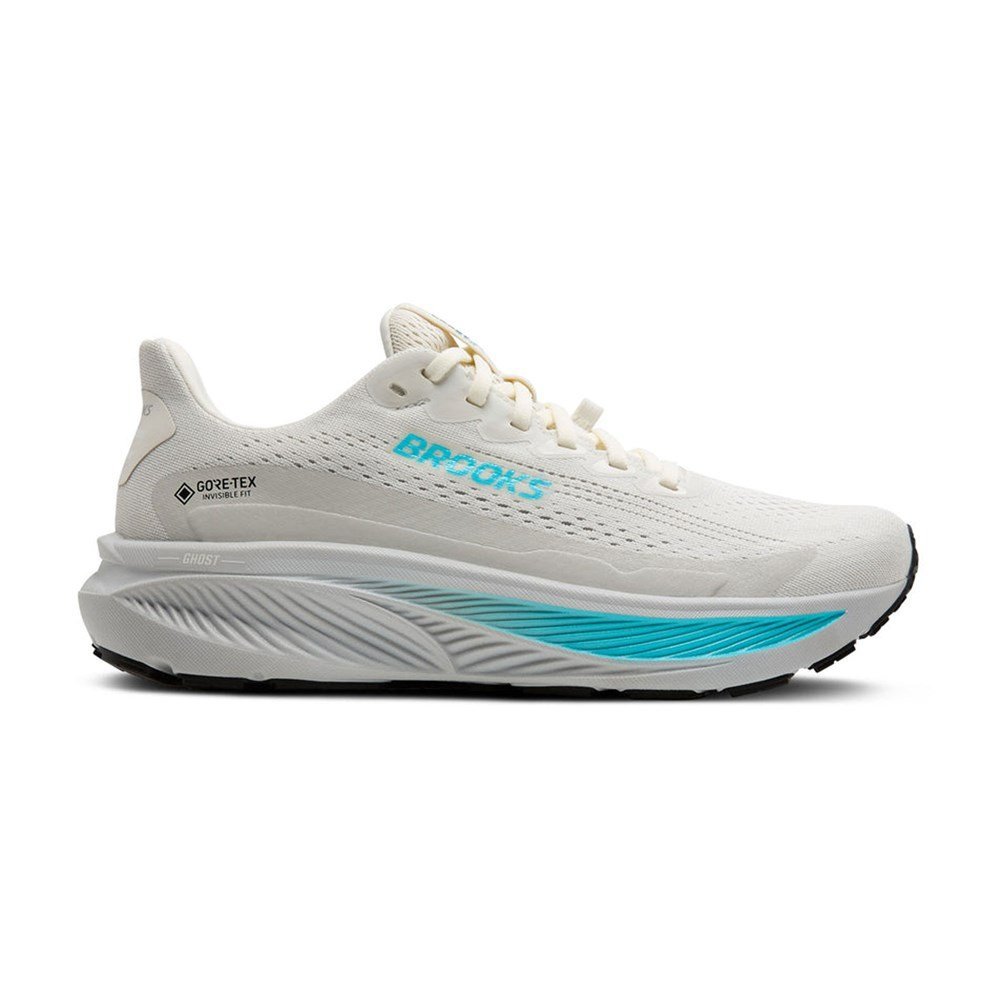 Buty Brooks Ghost 17 Gtx 1204511B138