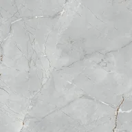 Płytki ceramiczne - Gres szkliwiony rektyfikowany polerowany DAKOTA GREY 60 x 60 cm - miniaturka - grafika 1