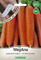 Nasiona i cebule - Marchew późna Darina nasiona na taśmie 6 m - WegAna - miniaturka - grafika 1