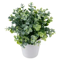 Sztuczne kwiaty - Eukaliptus sztuczny w doniczce 23 cm - miniaturka - grafika 1