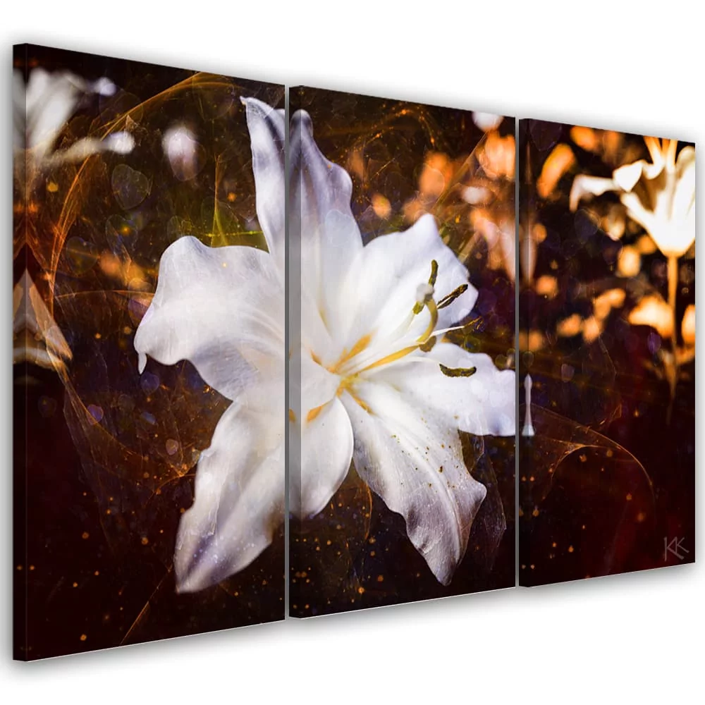 Obraz trzyczęściowy na płótnie, Biała lilia na brązowym tle (Rozmiar 150x100)