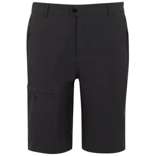 Męskie szorty Regatta Highton Shorts Long II Rozmiar: S / Kolor: szary - Spodenki męskie - miniaturka - grafika 1
