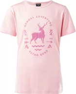 Koszulki męskie - Dziecięca koszulka z krótkim rękawem Hi-tec Nina Jrg silver pink rozmiar 164 - miniaturka - grafika 1