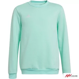 Bluza adidas Entrada 22 Sweat Top Jr HC5042 r. HC5042*128cm - Bluzy damskie - miniaturka - grafika 1