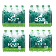 Woda - Woda mineralna RODOWITA z Roztocza delikatnie gazowana 48x 0,6 l - miniaturka - grafika 1