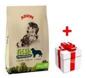 Sucha karma dla psów - ARION Fresh Adult medium large 12kg - miniaturka - grafika 1