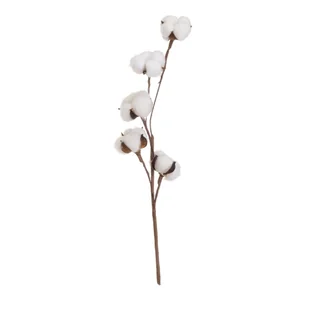 Suszona roślina (wysokość 55 cm) Cotton – Casa Selección - Sztuczne kwiaty - miniaturka - grafika 1