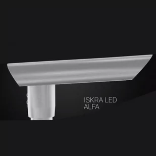 Oprawa ISKRA LED ALFA 24, 30W, 4350lm, 4000K, drogowa/parkowa, optyka DW, anodowana inox + czarny; ROSA - Lampy ogrodowe - miniaturka - grafika 1