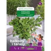 Nasiona i cebule - Portulaka warzywna zielona nasiona 0.5g W. Legutko - miniaturka - grafika 1