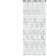 Sylwester - Kurtyna Choinki metaliczna srebrna - 100 x 245 cm - miniaturka - grafika 1