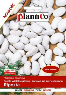 Fasola Riposta 50 g PLANTICO - Nasiona i cebule - miniaturka - grafika 1