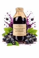 Syropy i koncentraty owocowe - Syrop z czarnej porzeczki 330 ml - miniaturka - grafika 1