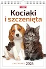 Kalendarze - Kalendarz 2026 A3 wieloplanszowy Kociaki i... - miniaturka - grafika 1