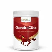 Akcesoria jeździeckie - HorseLine PRO ChondroClinic 690g - miniaturka - grafika 1