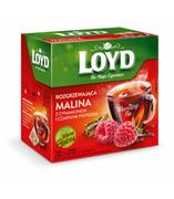 Herbata - Loyd Herbata rozgrzewająca o smaku malinowym z cynamonem i czarnym pieprzem 80 torebek piramidki 3103277 - miniaturka - grafika 1