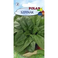 Nasiona i cebule - Szpinak Olbrzymi Polan - miniaturka - grafika 1