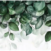Fototapety - Fototapeta Liście Wiszące Zielony Natura 350x250 cm Tapeta Do Sypialni Salonu Kuchni Na Flizelinie - miniaturka - grafika 1