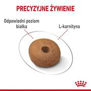 Sucha karma dla psów - Royal Canin CCN Medium Light Weight Care 3 kg - miniaturka - grafika 1