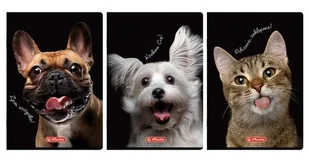Herlitz Zeszyt A460k kratka z marginesem Animals (5szt) - Zeszyty szkolne - miniaturka - grafika 1