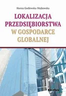 Finanse, księgowość, bankowość - Lokalizacja przedsiębiorstwa w gospodarce globalnej - Hanna Godlewska-Majkowska - miniaturka - grafika 1