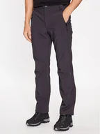 Odzież trekkingowa męska - CMP Spodnie outdoor A01487-N Szary Regular Fit - miniaturka - grafika 1