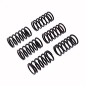 Części motocyklowe - Sprężyny sprzęgłowe TRW MEF320-6 - Ducati 1098/1198/748, Hypermotard, Monster - miniaturka - grafika 1