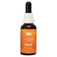 Suplementy naturalne - Australian Bush Flower Essences Boost Essence - Odzyskaj spokój i równowagę krople 30 ml - miniaturka - grafika 1