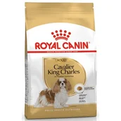 Sucha karma dla psów - Royal Canin Cavalier King Charles Adult 1,5 kg - miniaturka - grafika 1