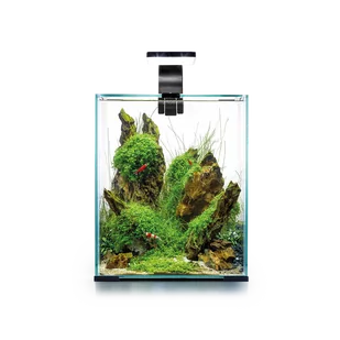 AQUAEL Zestaw Aquael Shrimp Set Smart Day & Night [20l] - czarny - Akwaria i zestawy akwarystyczne - miniaturka - grafika 4