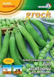 Groch Cud Kelwedonu 20g / L / - Nasiona i cebule - miniaturka - grafika 1