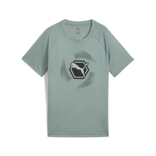 Active Sports Graphic Poly Tee B