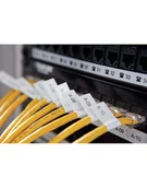 Drukarki kart i etykiet - Dymo Rhino 5200 Hard Case Kit S0841390 - miniaturka - grafika 1