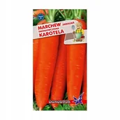 Nasiona i cebule - Marchew Karotina średniowczesna 5g / O / - miniaturka - grafika 1