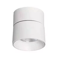 Lampy sufitowe - Przysufitowy spot Estetica ABR-LPR-30W-B-WW Abruzzo LED 30W 2700-3200K biały - miniaturka - grafika 1