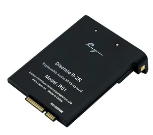 Cayin N6 MKII Moduły: samo moduł R01 bez odtwarzacza - Odtwarzacze MP3 - miniaturka - grafika 1