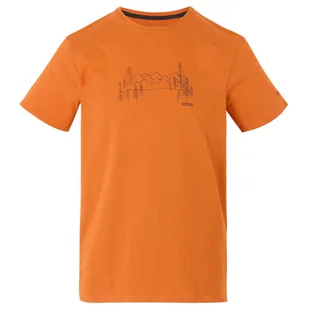 Koszulka męska Regatta Breezed V Rozmiar: 4XL / Kolor: pomarańczowy - Koszulki sportowe męskie - miniaturka - grafika 1