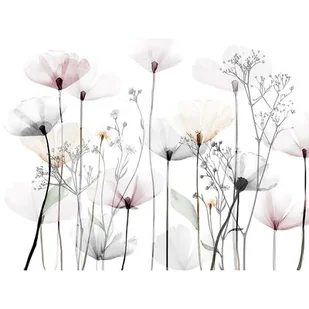 Obraz Canvas 75 x 100 ST542 MODERN POPPY - Ramki na zdjęcia - miniaturka - grafika 1