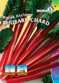 Nasiona i cebule - Burak liściowy Rhubard Chard 5g / L / - miniaturka - grafika 1