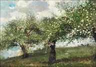 Plakaty - Galeria Plakatu, Plakat, Girl Picking Apple Blossoms, Winslow Homer, 40x30 cm - miniaturka - grafika 1