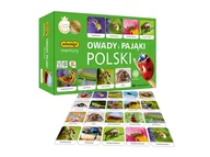 Gry planszowe - Adamigo memory gra planszowa owady i pająki Polski - miniaturka - grafika 1