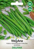Nasiona i cebule - Fasola zwykła karłowa Delfina 40g nasiona - WegAna - miniaturka - grafika 1