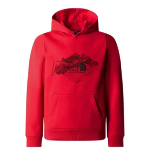 Bluza The North Face Topographic Regular - Odzież sportowa dziecięca - miniaturka - grafika 1