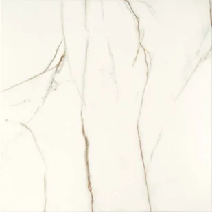 Płytka podłogowa Floris White 61 x 61 cm Gat.1 - Płytki ceramiczne - miniaturka - grafika 1