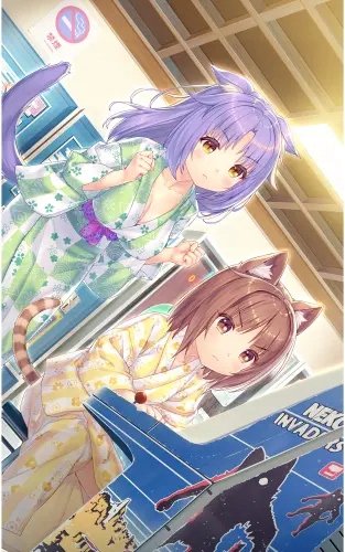 Plakat Anime Manga Nekopara np_035 A2 (custom)