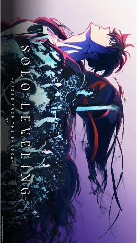 Plakat Solo Leveling A2 (420mm x custom) Anime Na honjaman level up